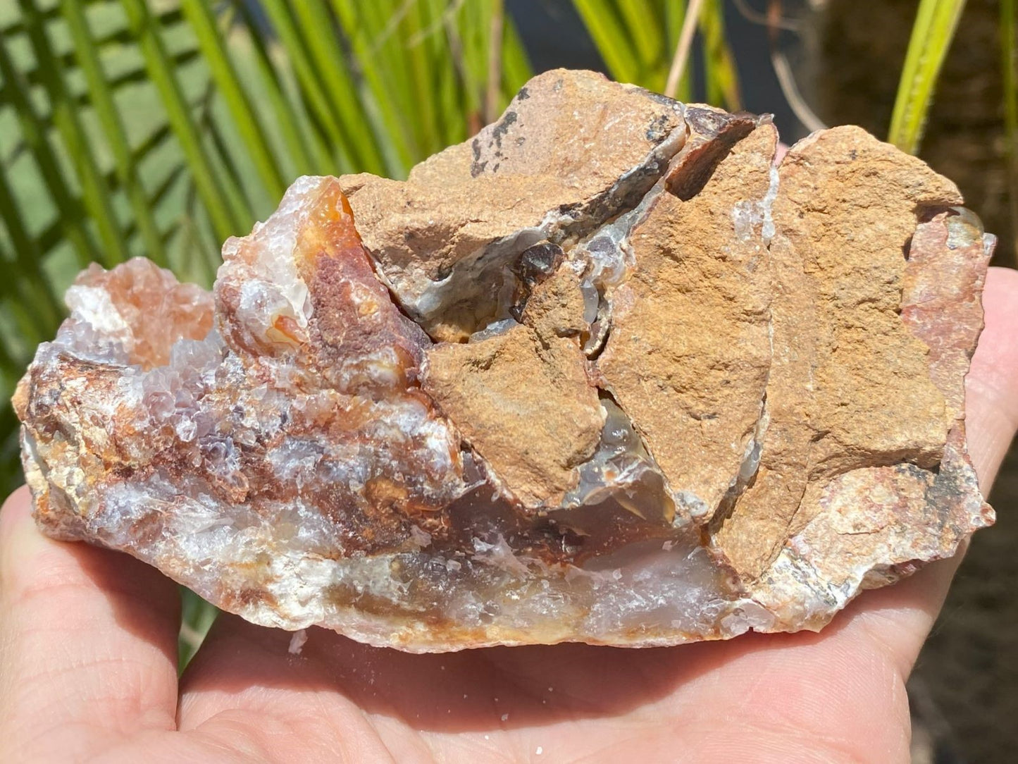 Hand holding a rough, brownish rock with visible crystals against a natural background