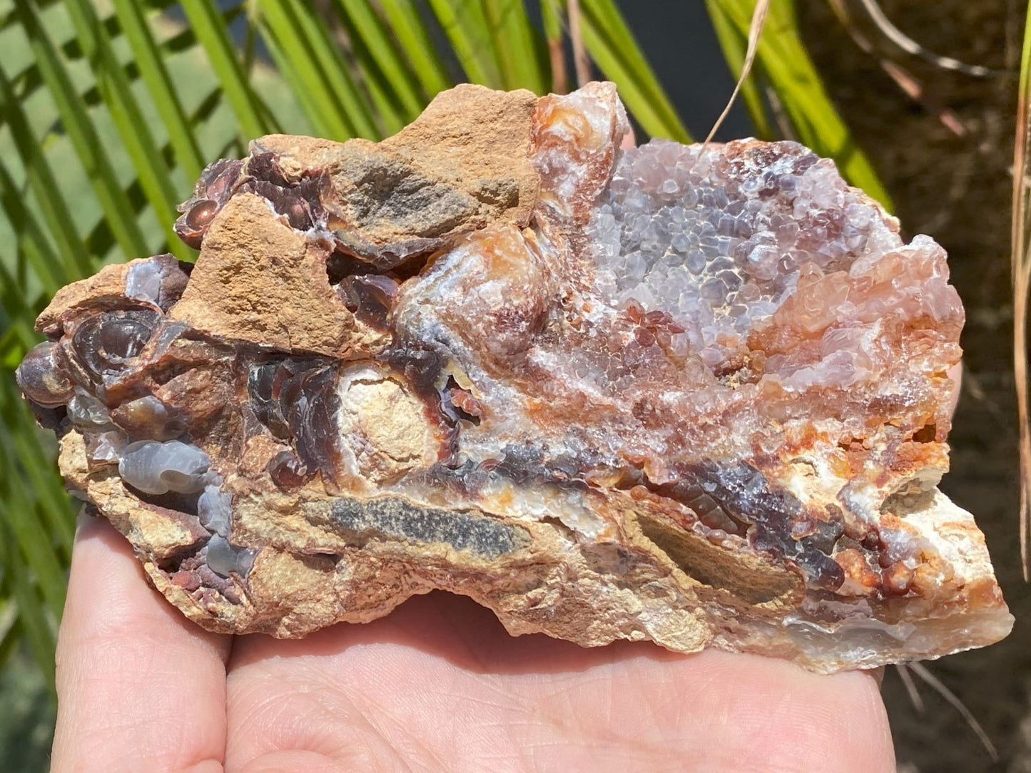 Slaughter Mountain fire agate rough mineral specimen held in hand with greenery in the background