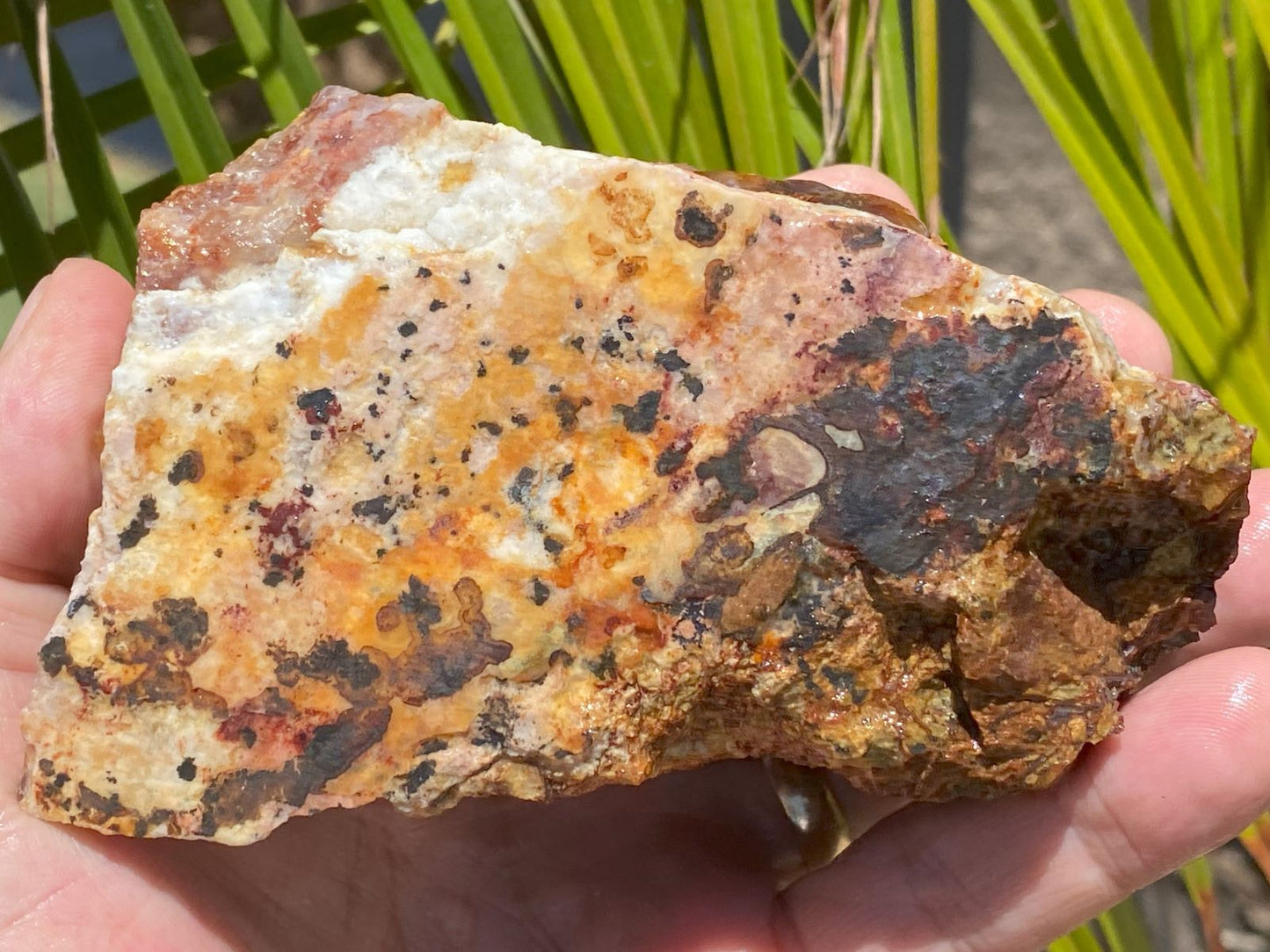 Hand holding a rough-hewn rock with orange, brown, and black colors against a blurred natural background.