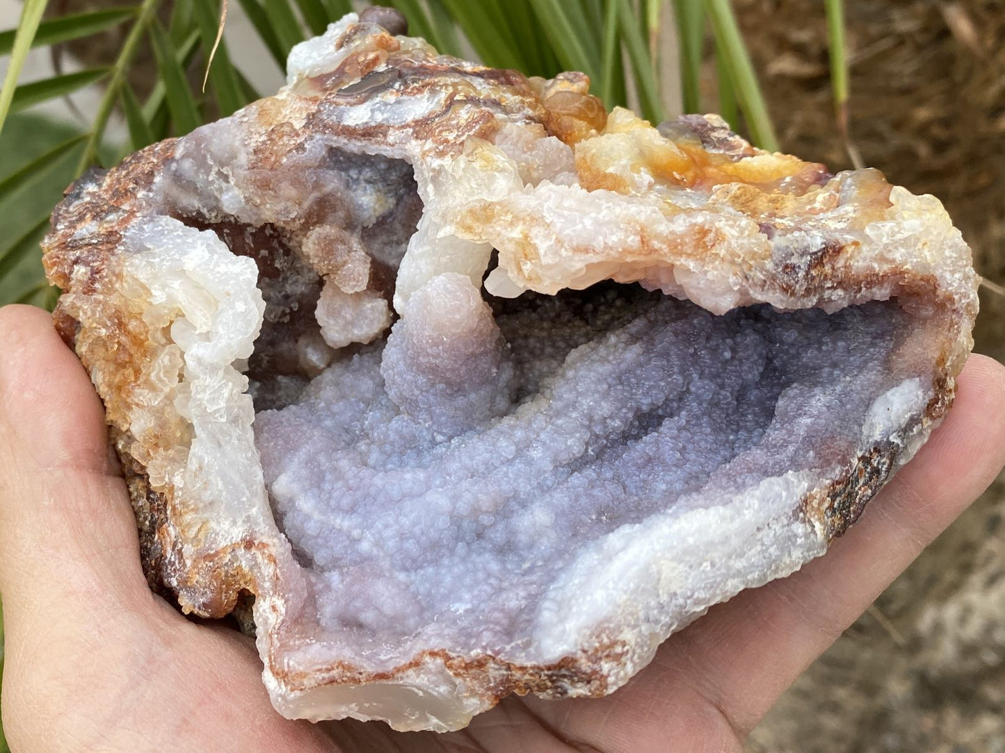 Slaughter Mountain Fire Agate Mineral Specimen held in a hand with a natural background