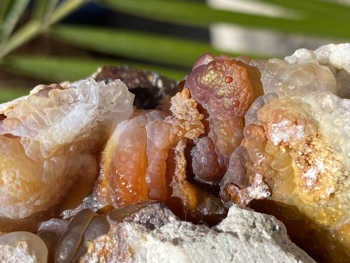 Close-up of a crystal formation in Slaughter Mountain Fire Agate Mineral Specimen with a blurred natural background