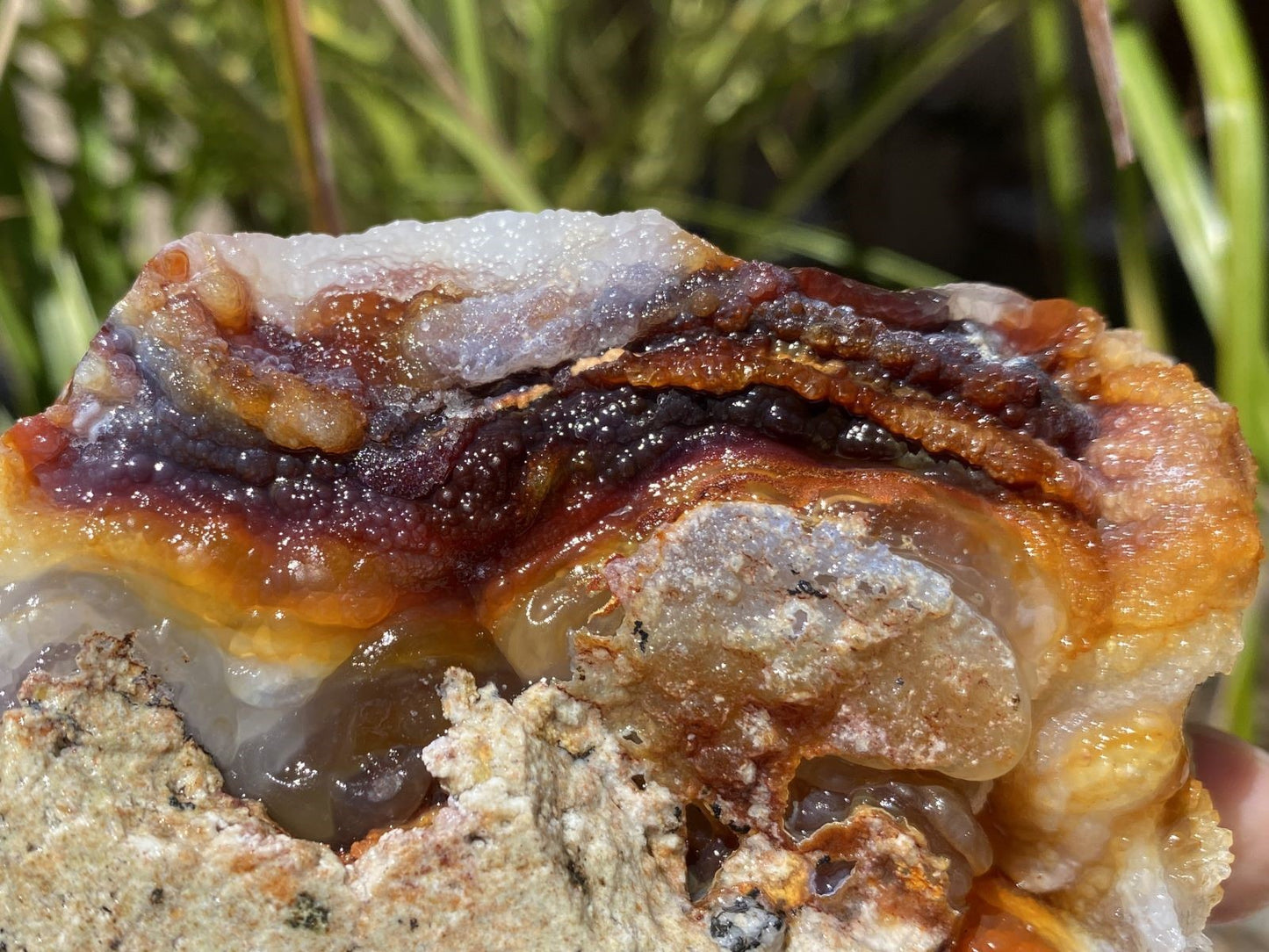 Close-up of a multicolored Slaughter Mountain Fire Agate Mineral Specimen with a natural background
