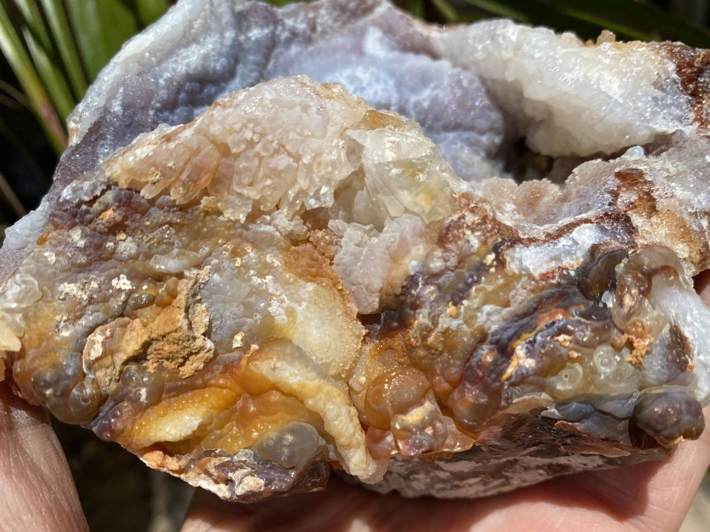 Close-up of a hand holding a Slaughter Mountain Fire Agate Mineral Specimen textured rock with visible minerals.