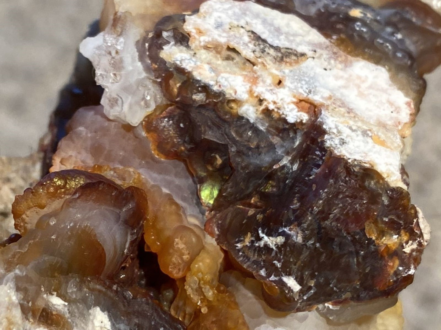 Close-up of a Slaughter Mountain Fire Agate Mineral Specimen on a blurred background