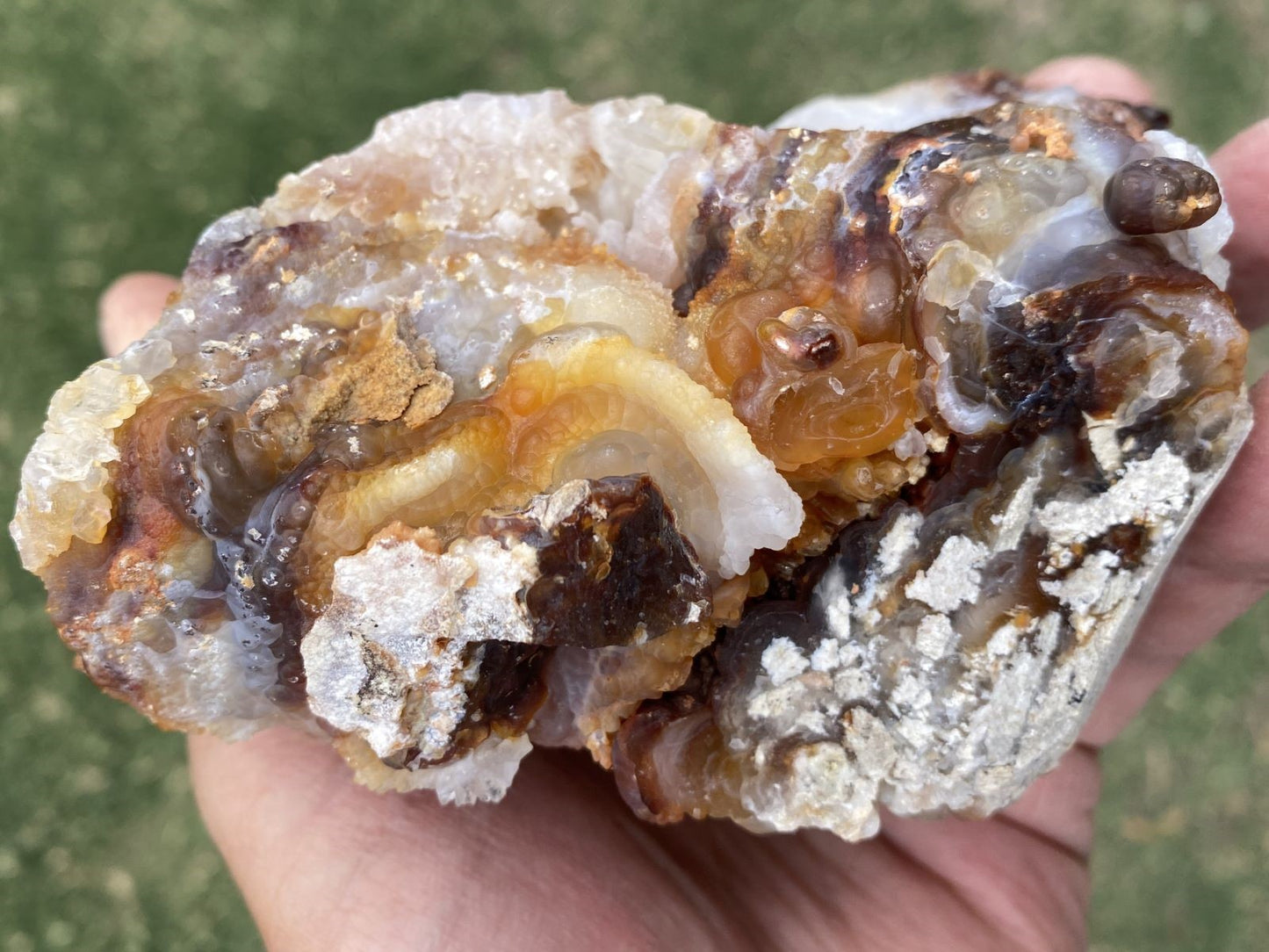 Close-up of a hand holding a Slaughter Mountain Fire Agate Mineral Specimen with visible minerals.