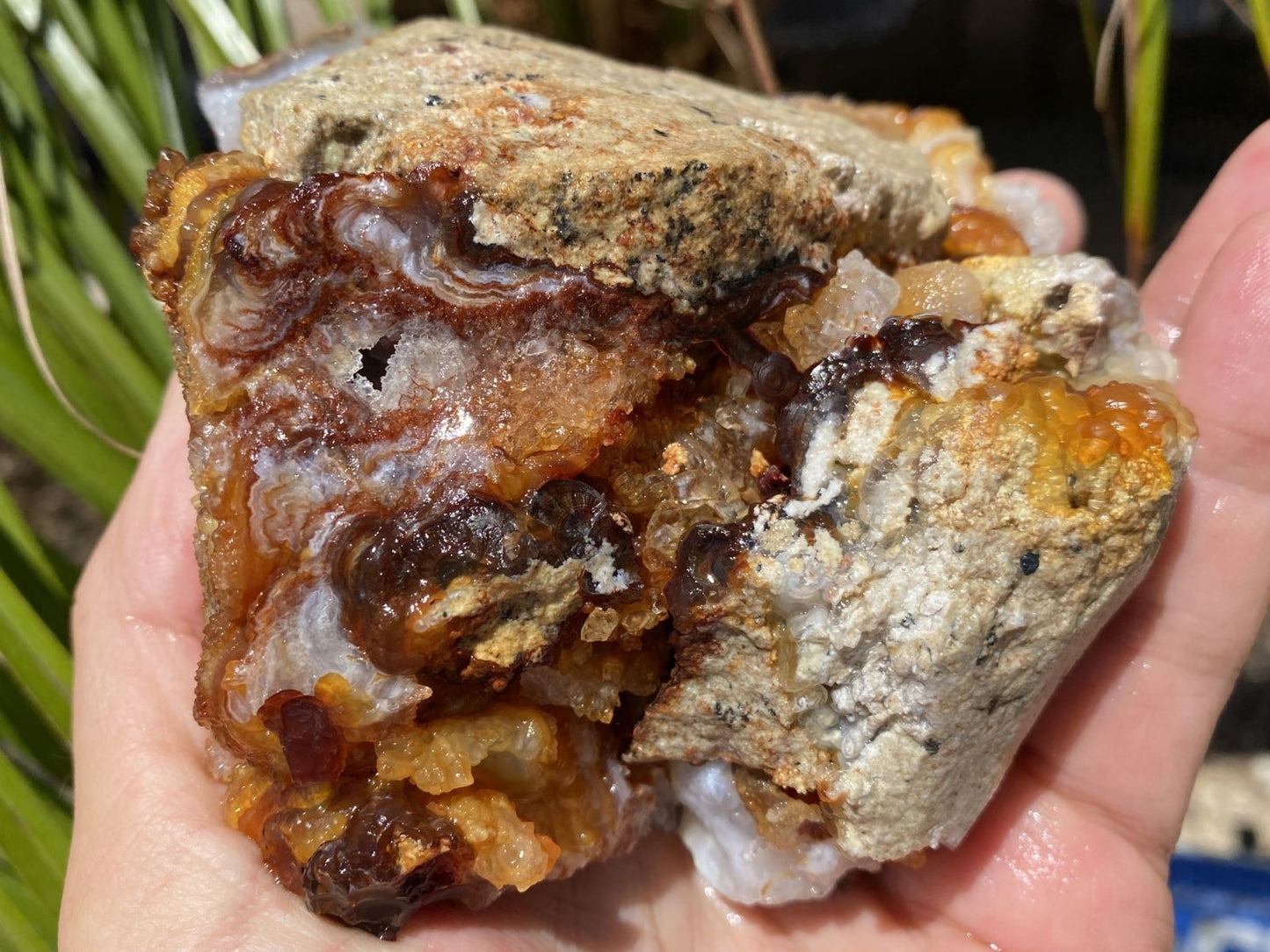 Hand holding a piece of Slaughter Mountain Fire Agate Rough Mineral Specimen, multicolored stone with visible textures and colors.