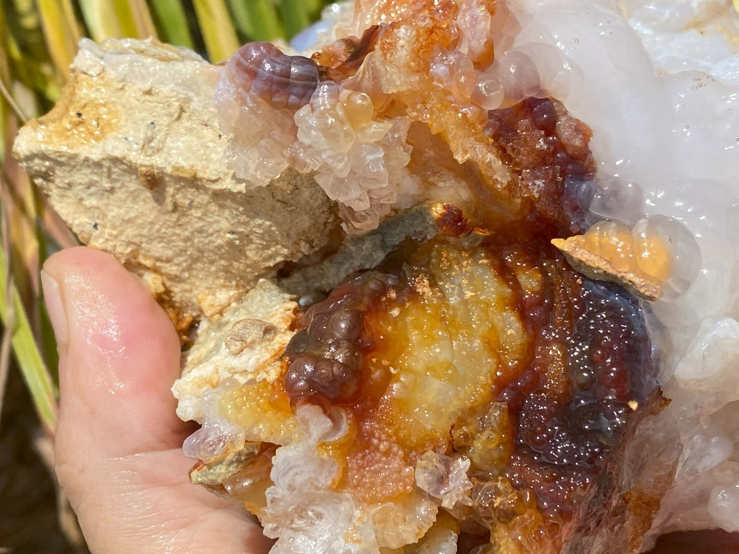 Close-up of a hand holding a fire agate mineral specimen with clear and red crystals on a natural background