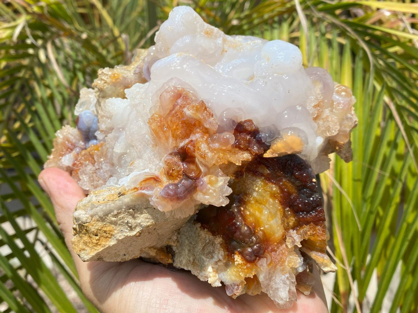 Fire Agate mineral sample held in hand with green foliage in the background