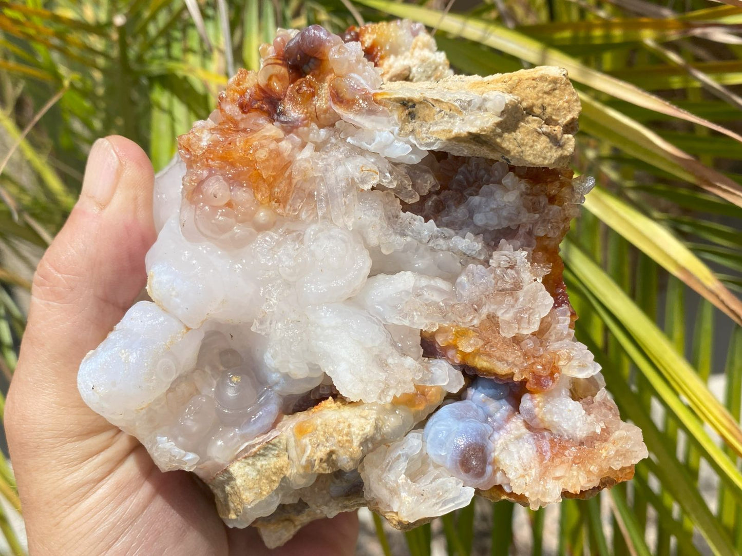 Hand holding a fire agate crystal rock with a natural background