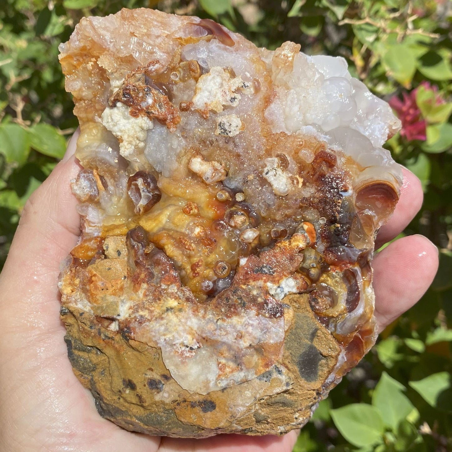 Hand holding a large Slaughter Mountain Fire Agate Rough Mineral Specimen with a natural background