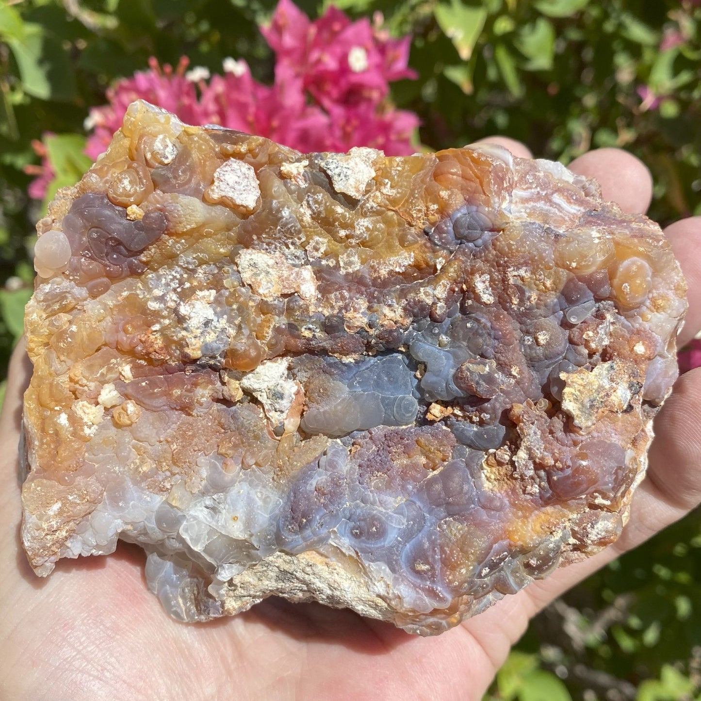 Hand holding a colorful piece with patterns of Slaughter Mountain Fire Agate Rough against a natural background