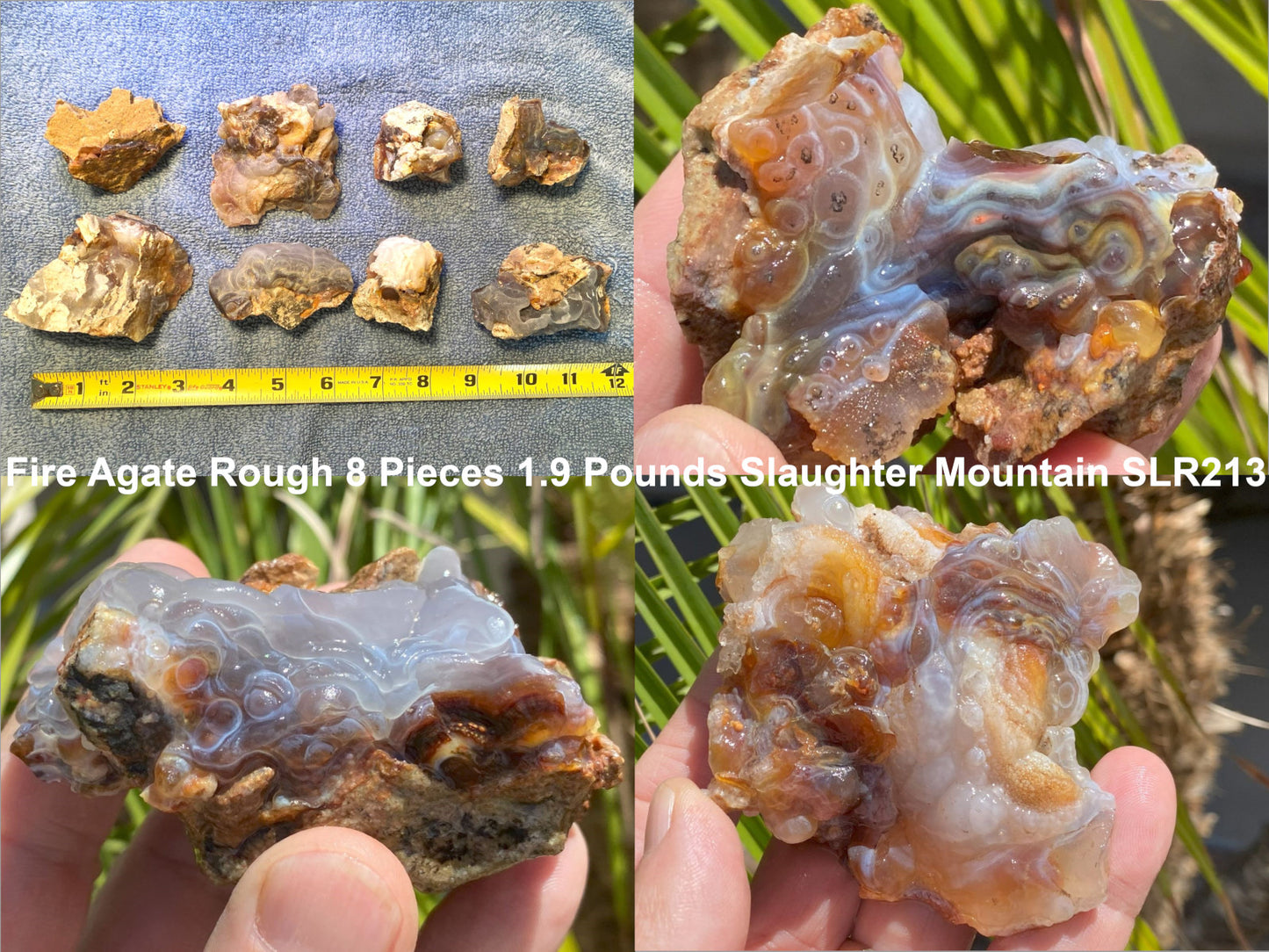 Fire Agate Rough pieces held in hands with a ruler for scale, set against a natural background.
