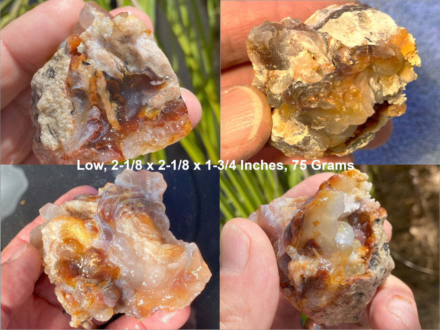 Close-up of a fire agate rock held in a hand with measurements and weight displayed.