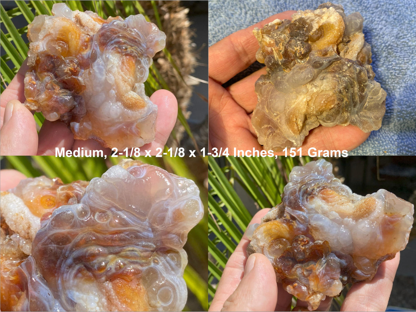 Collage of a piece of Slaughter Mountain fire agate rough held in hands with measurements and weight displayed.