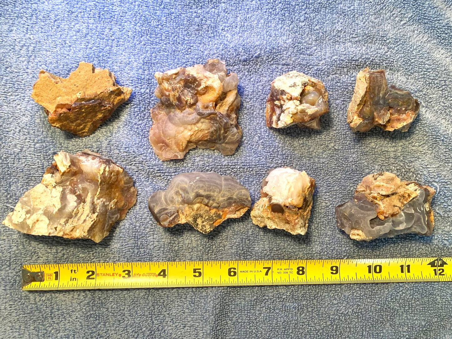 Set of eight different pieces of Slaughter Mountain fire agate rough on a blue fabric background with a ruler for scale.
