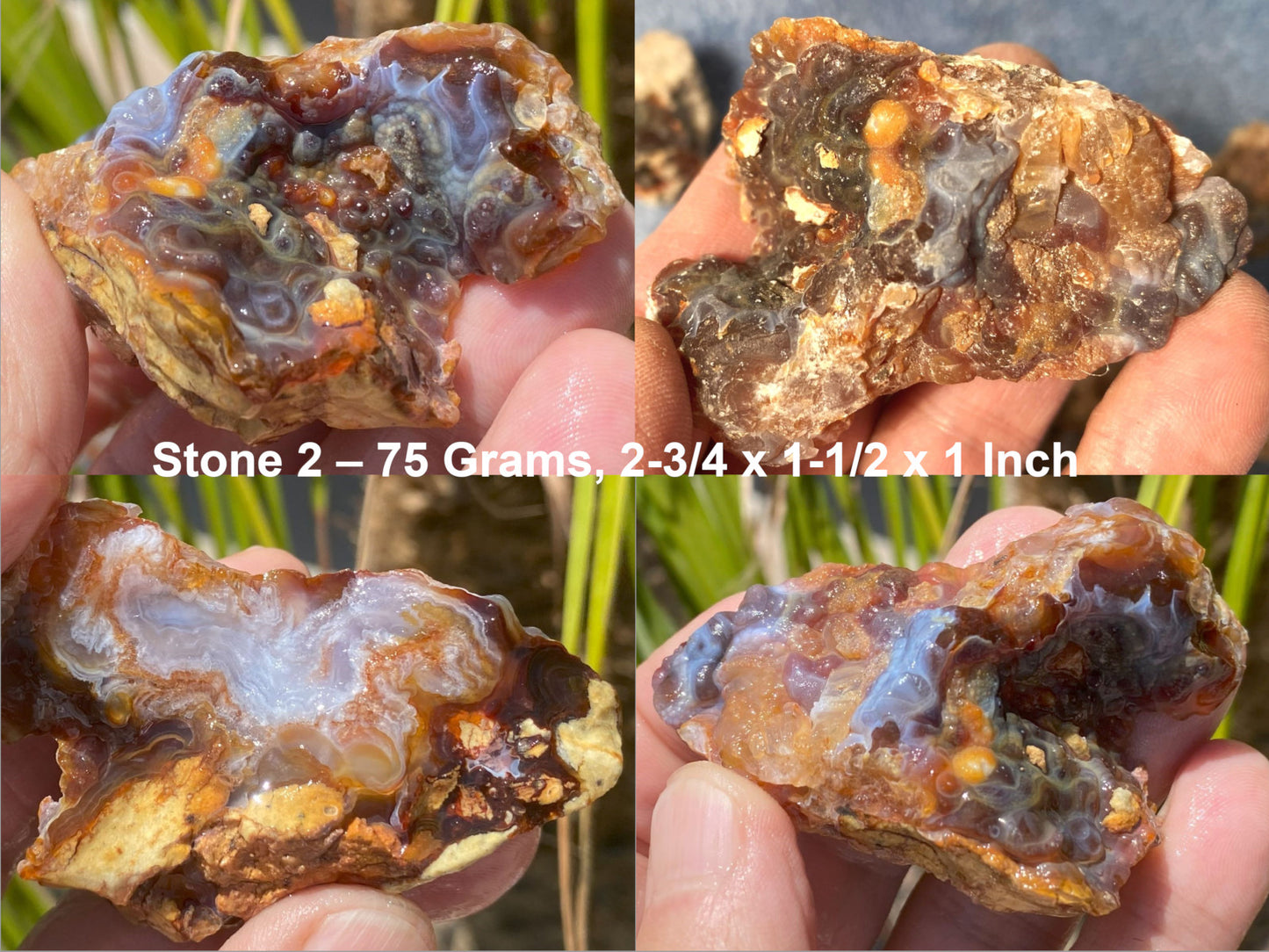 Collage of Slaughter Mountain fire agate rough held in hands with measurements and details.