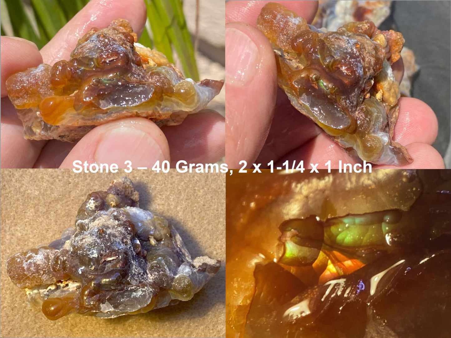 Close-up of Slaughter Mountain fire agate rough held in hand with text indicating weight and dimensions.