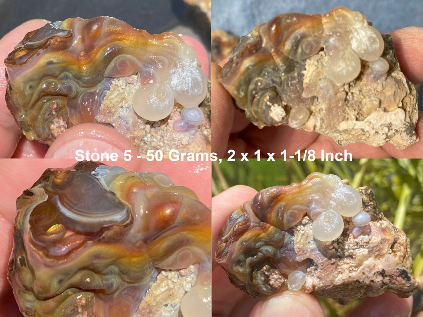 Close-up of Slaughter Mountain fire agate rough held in hands with measurements displayed.