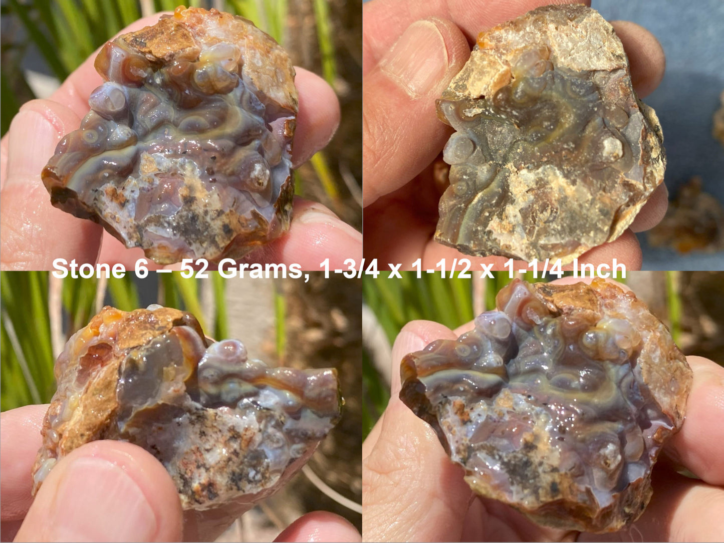 Close-up of Slaughter Mountain fire agate rough held in hands with measurements displayed.