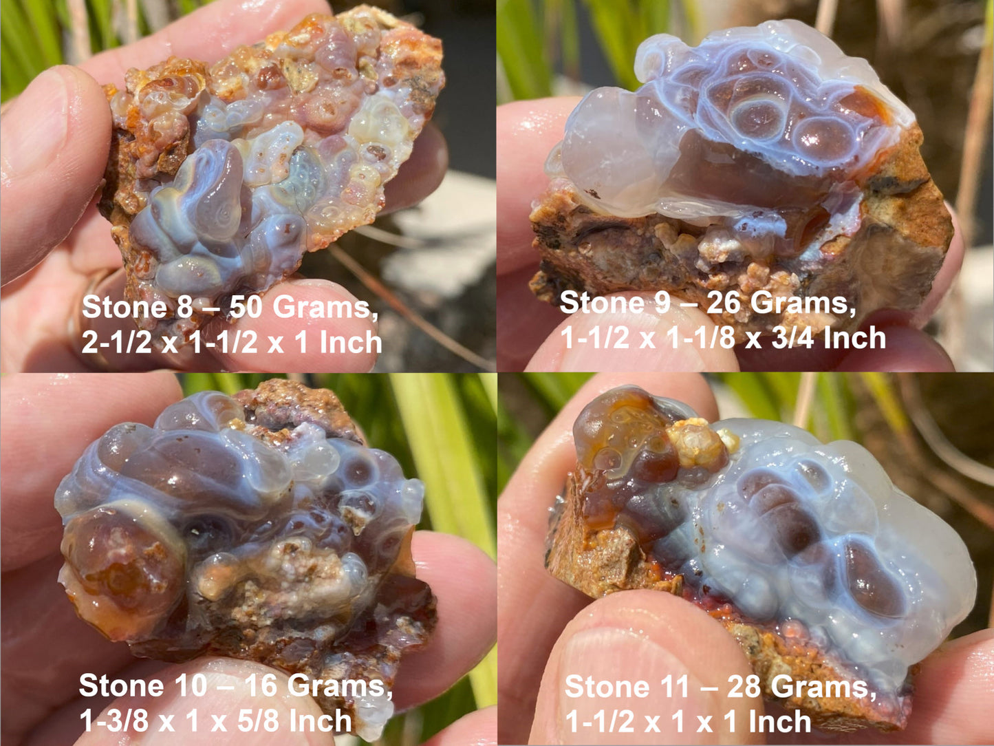 Four different Slaughter Mountain fire agate rough samples held in hands with measurements and dimensions displayed.