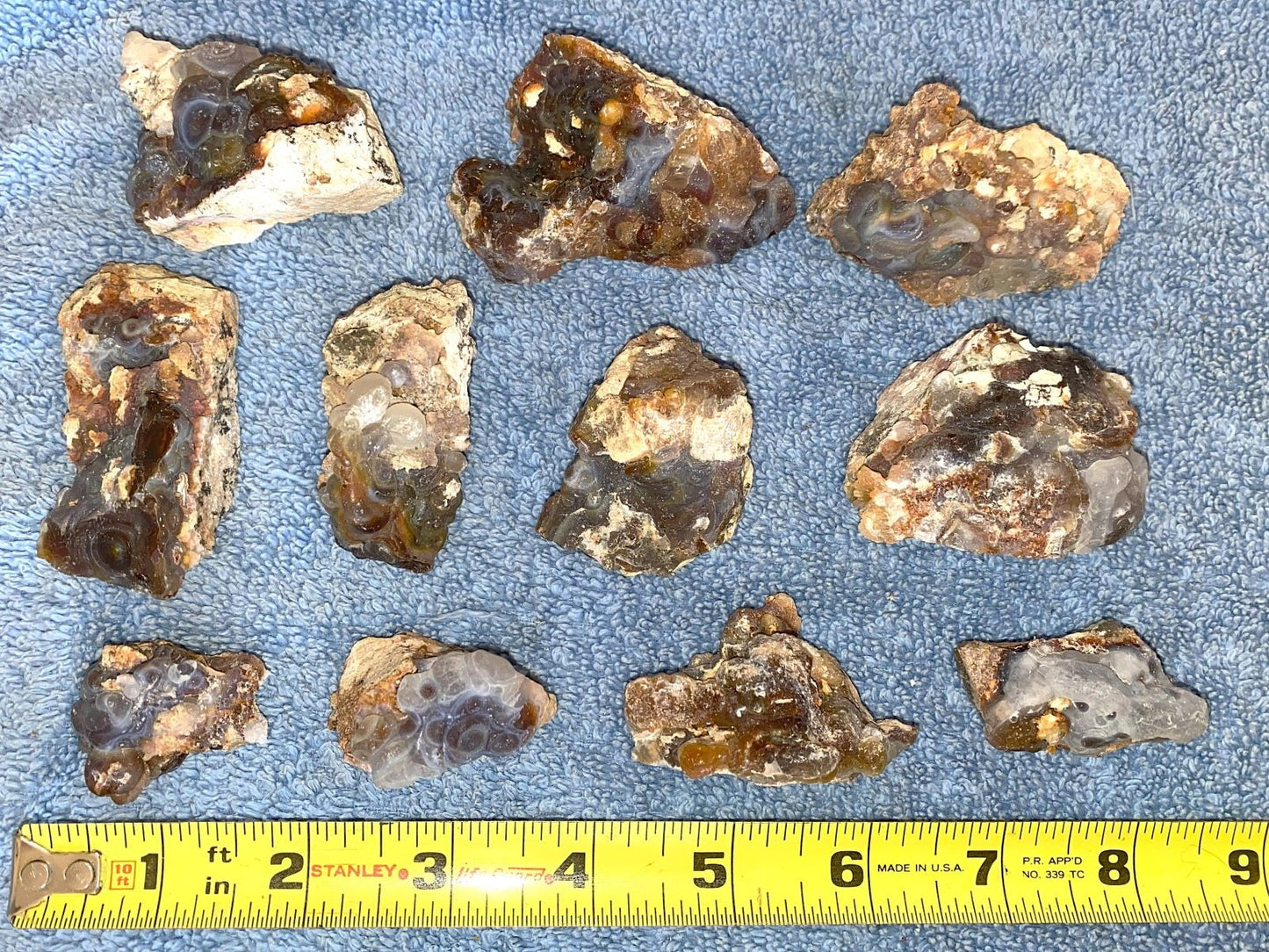 Collection of eleven various sized pieces of Slaughter Mountain fire agate rough on a blue surface with a ruler for scale.