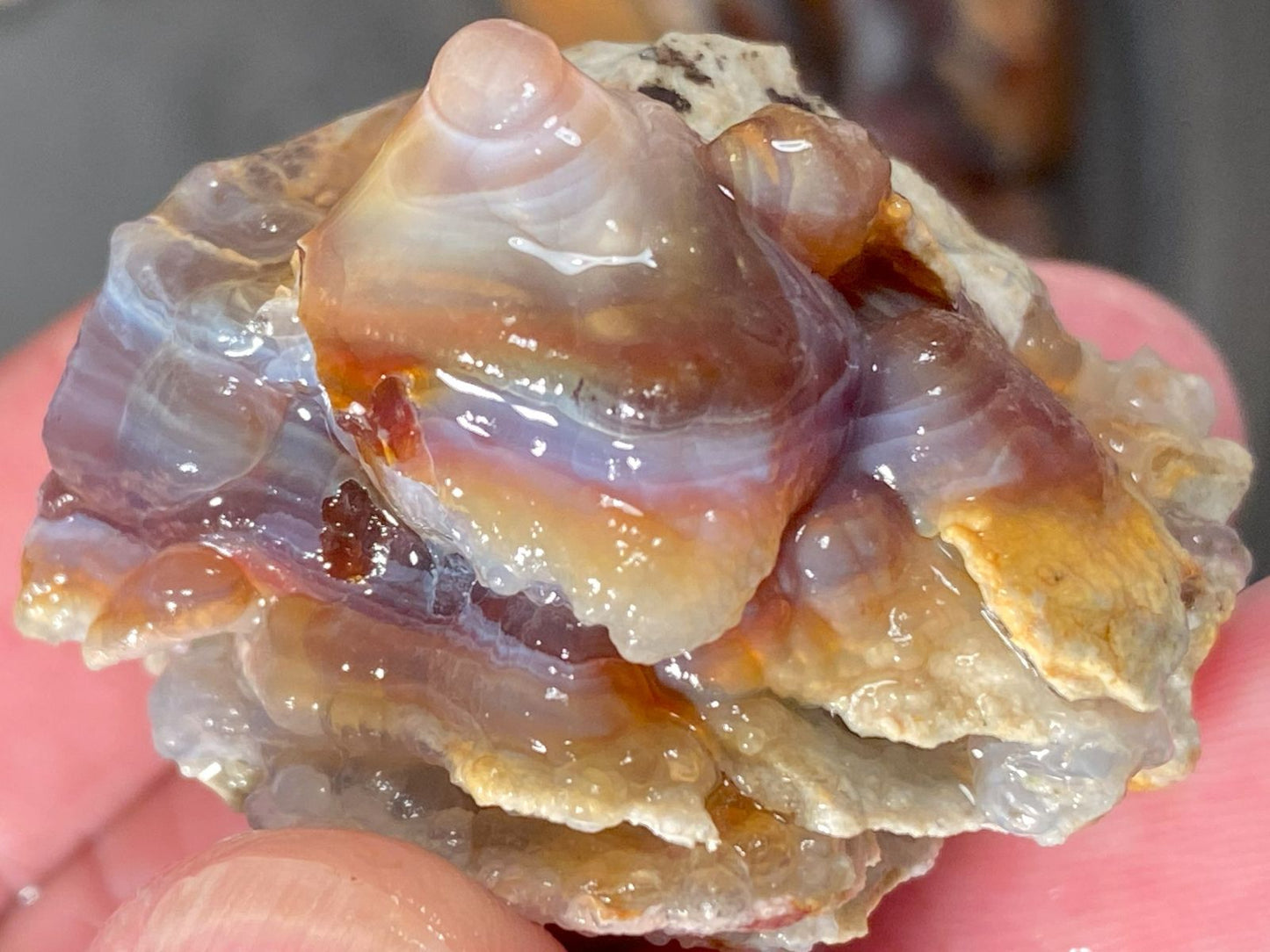 Close-up of a colorful piece of Slaughter Mountain fire agate rough held in hands with a blurred background