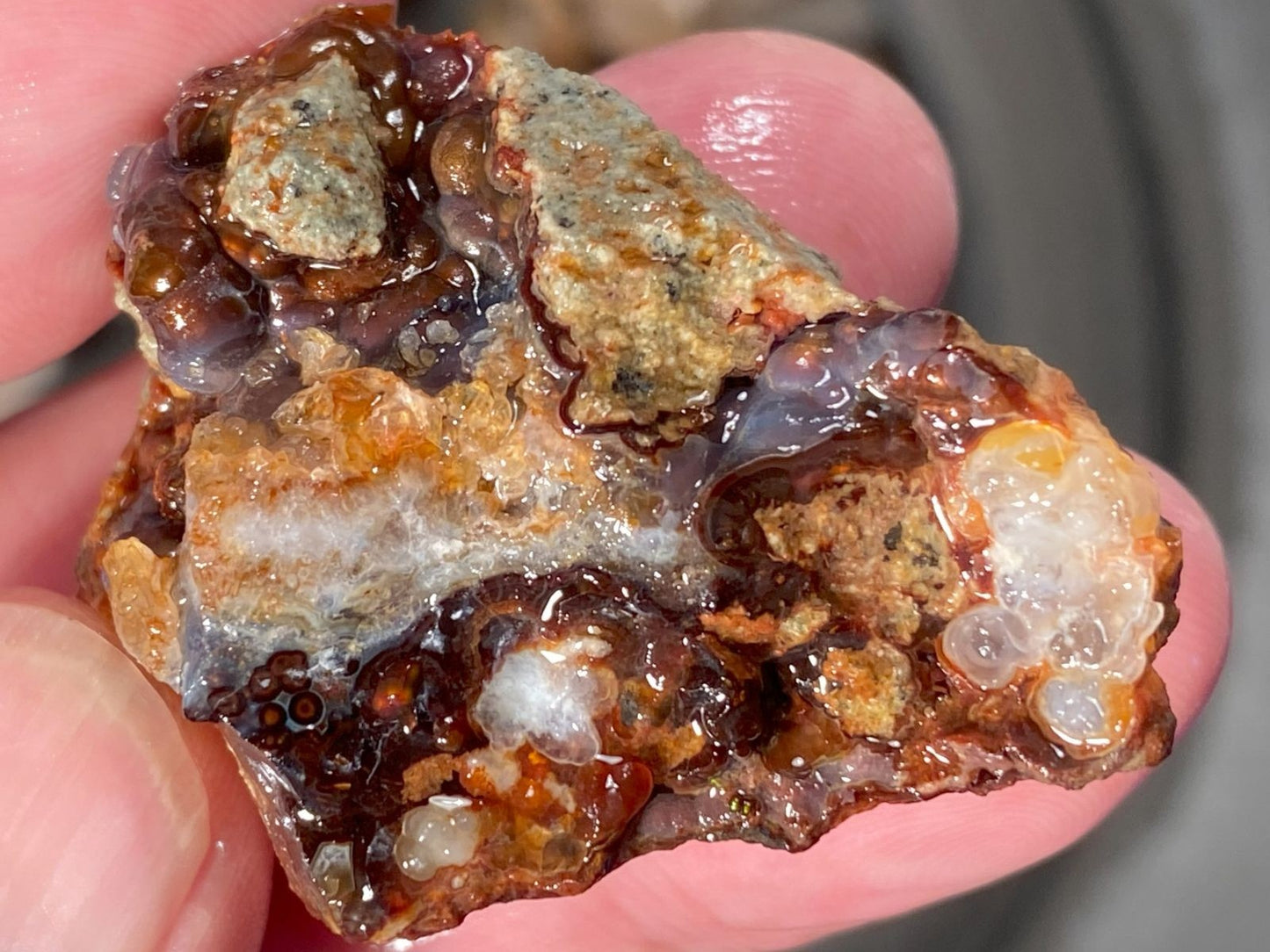 Close-up of a hand holding a piece of Slaughter Mountain fire agate rough with visible minerals.