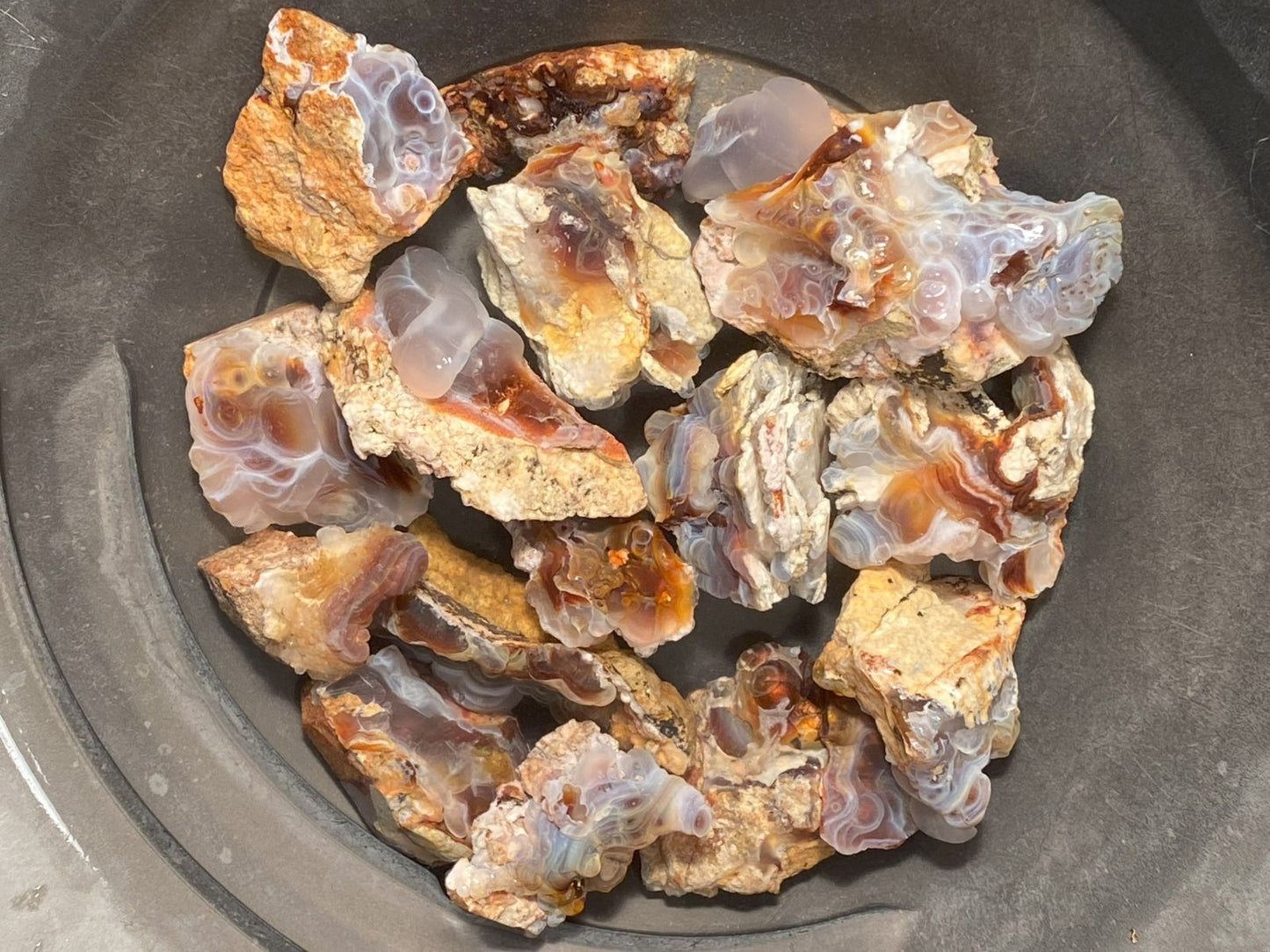 A group of Slaughter Mountain fire agate rough being shown wet in a goldpan