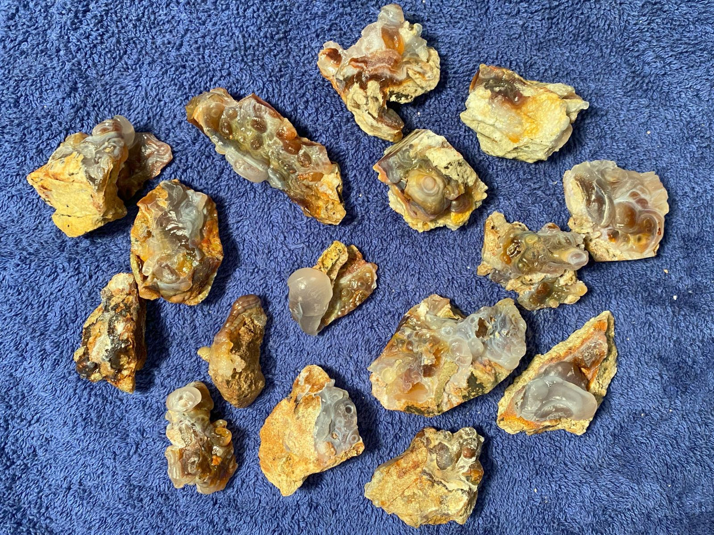 Collection of various sized pieces of Slaughter Mountain fire agate rough on a blue textured surface