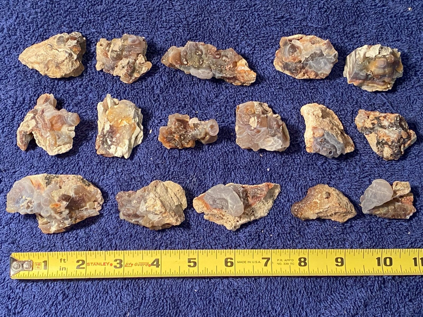 Collection of various sized raw fire agate pieces on a blue background with a ruler for scale.