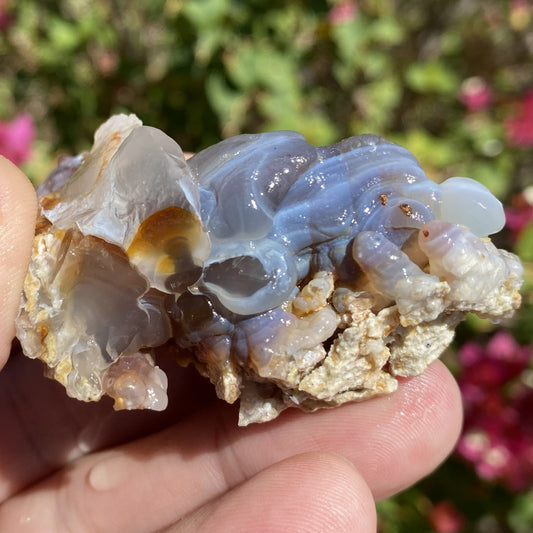 A hand holding a translucent blue and white fire agate crystal cluster with rough, textured beige matrix, set against a blurred outdoor background of green foliage and pink flowers.