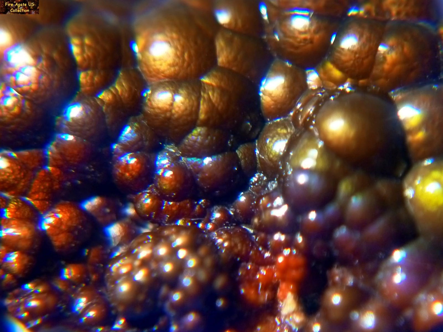 Deer Creek Fire Agate Mineral Specimens For Sale