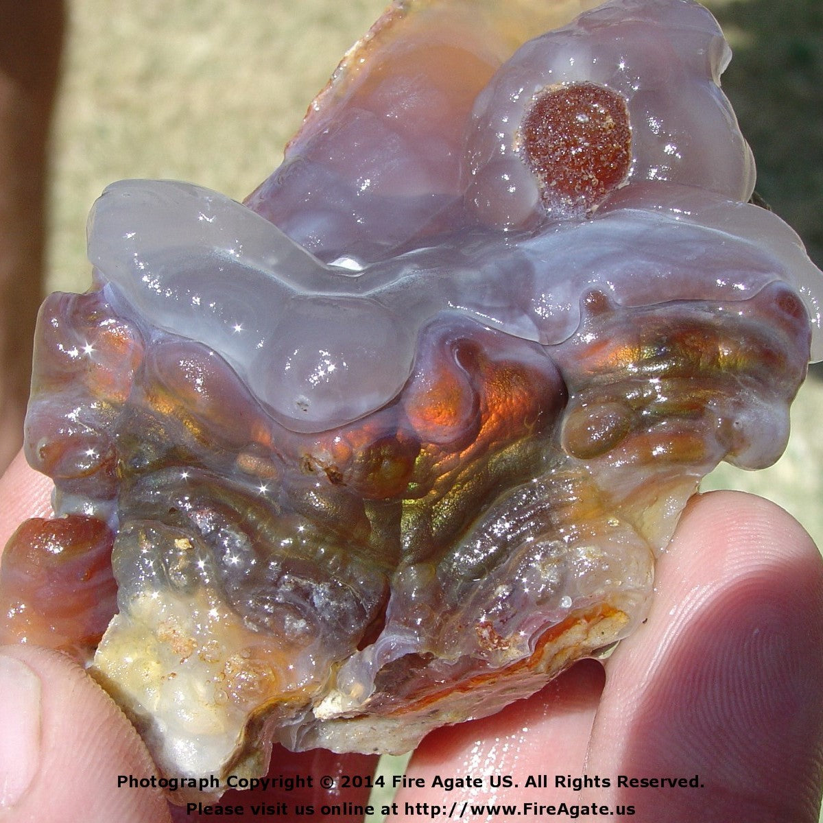 Slaughter Mountain Fire Agate