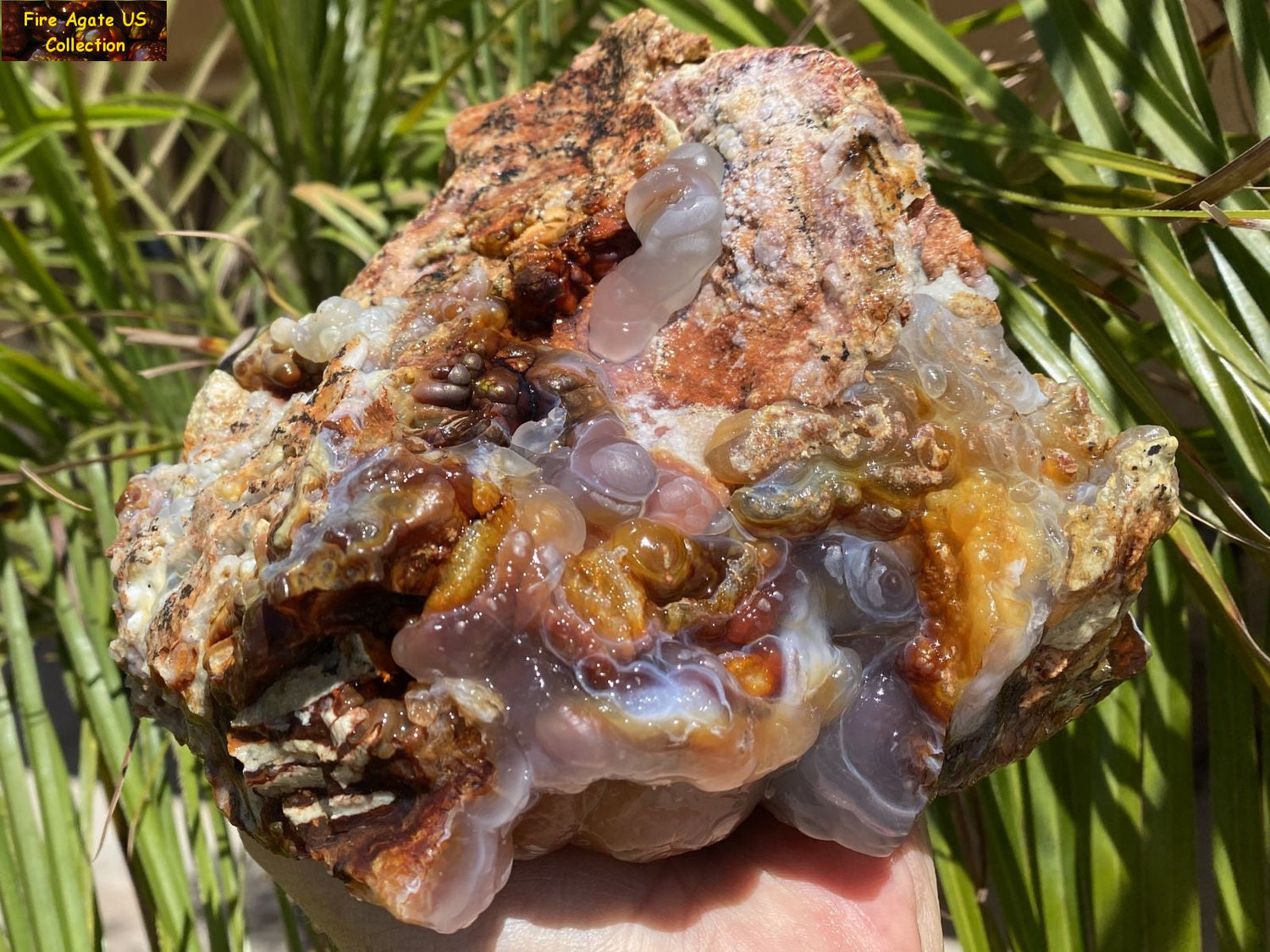 Fire Agate Mineral Specimens