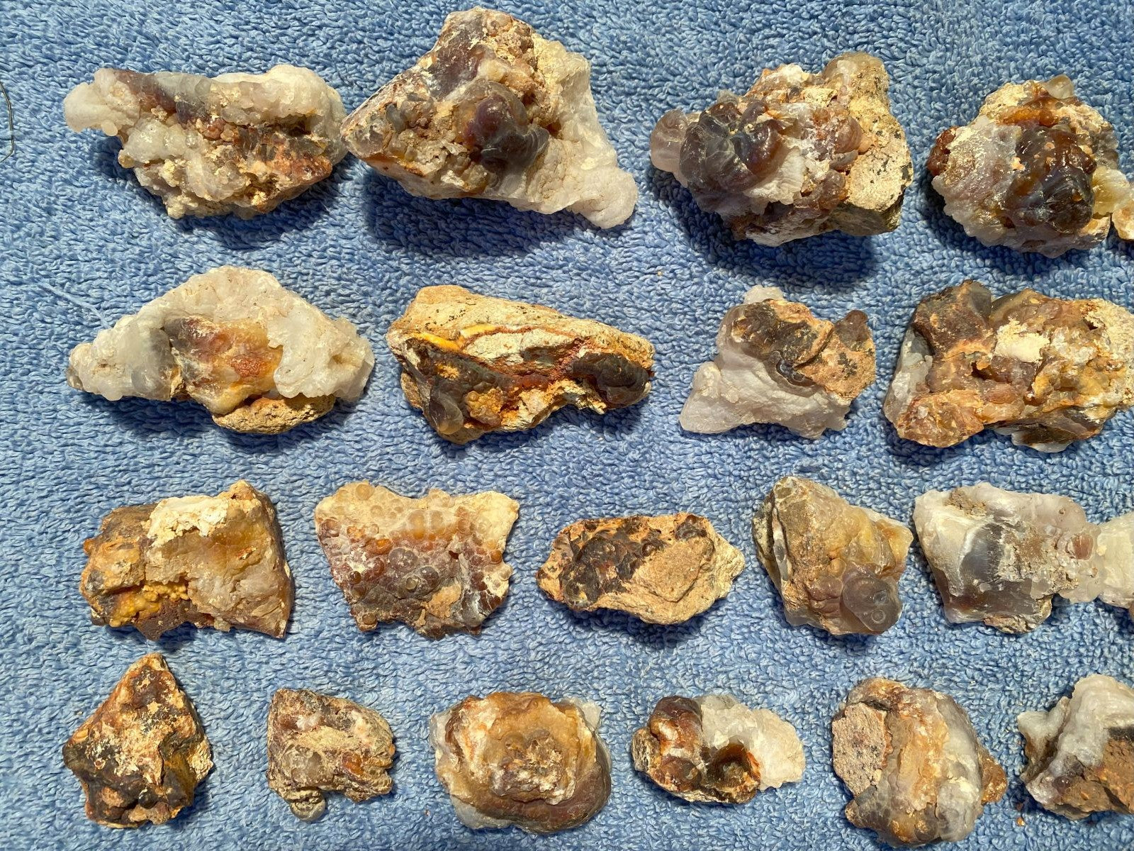 Collection of various sized and shaped pieces of Deer Creek fire agate rough on a textured blue surface