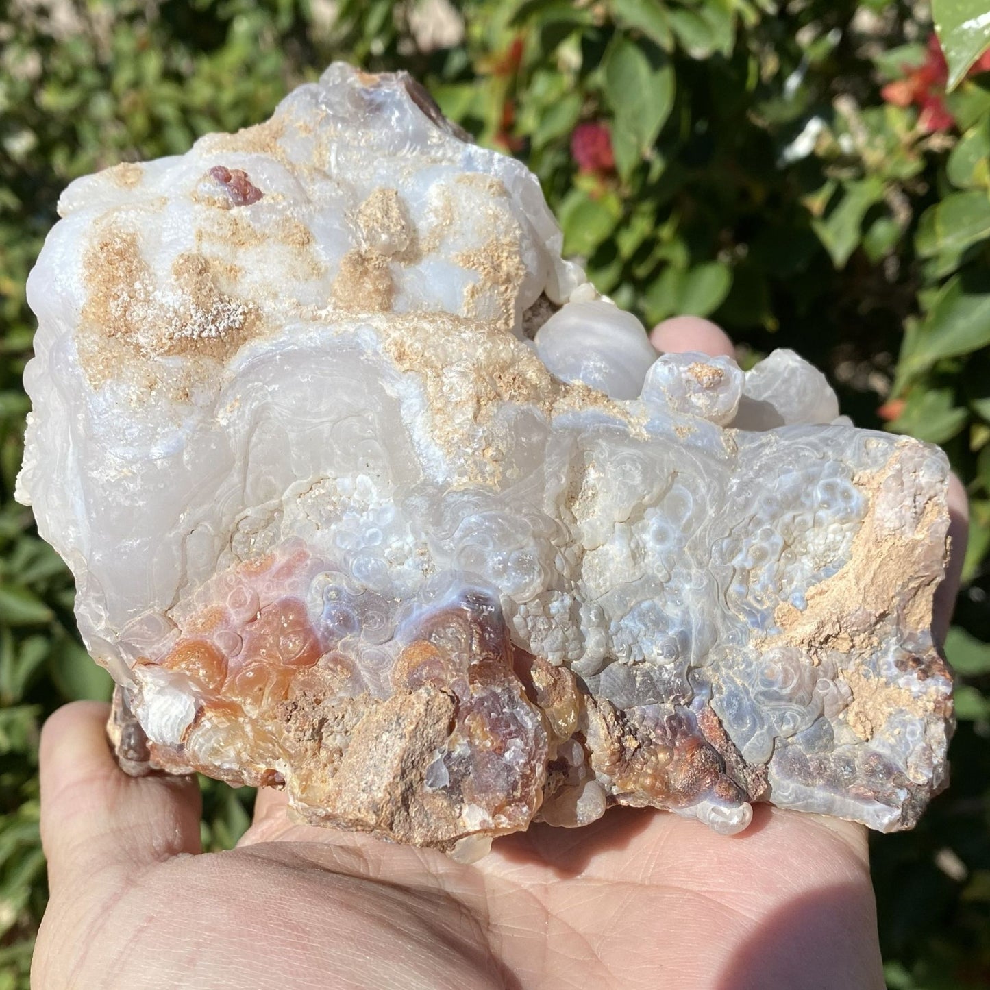 Fire Agate Rough Mineral Specimen Slaughter Mountain 1.83 Pounds SLM069