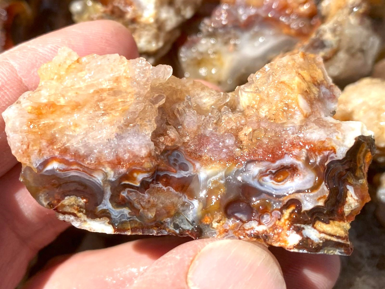 A close-up of a hand holding a rough agate crystal specimen with layered banded patterns in amber, brown, white, and translucent tones.