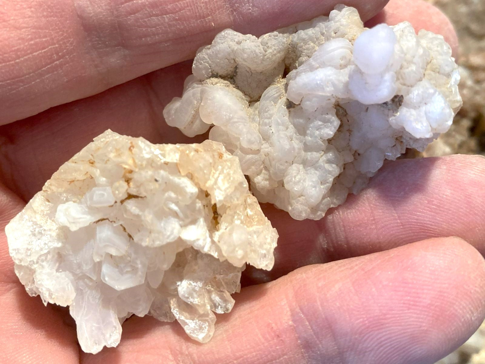 Two rough white and pale beige crystal clusters held in a person's hand outdoors.