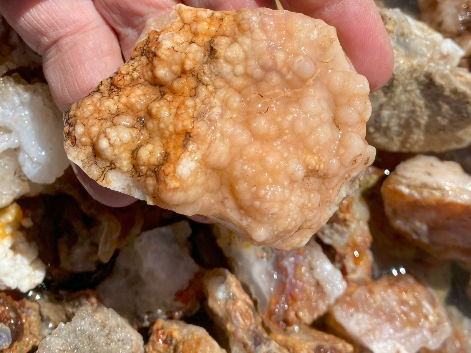 A hand holding a rough, bubbled peach-colored mineral specimen with a textured surface, set against a background of other natural rocks and crystals.