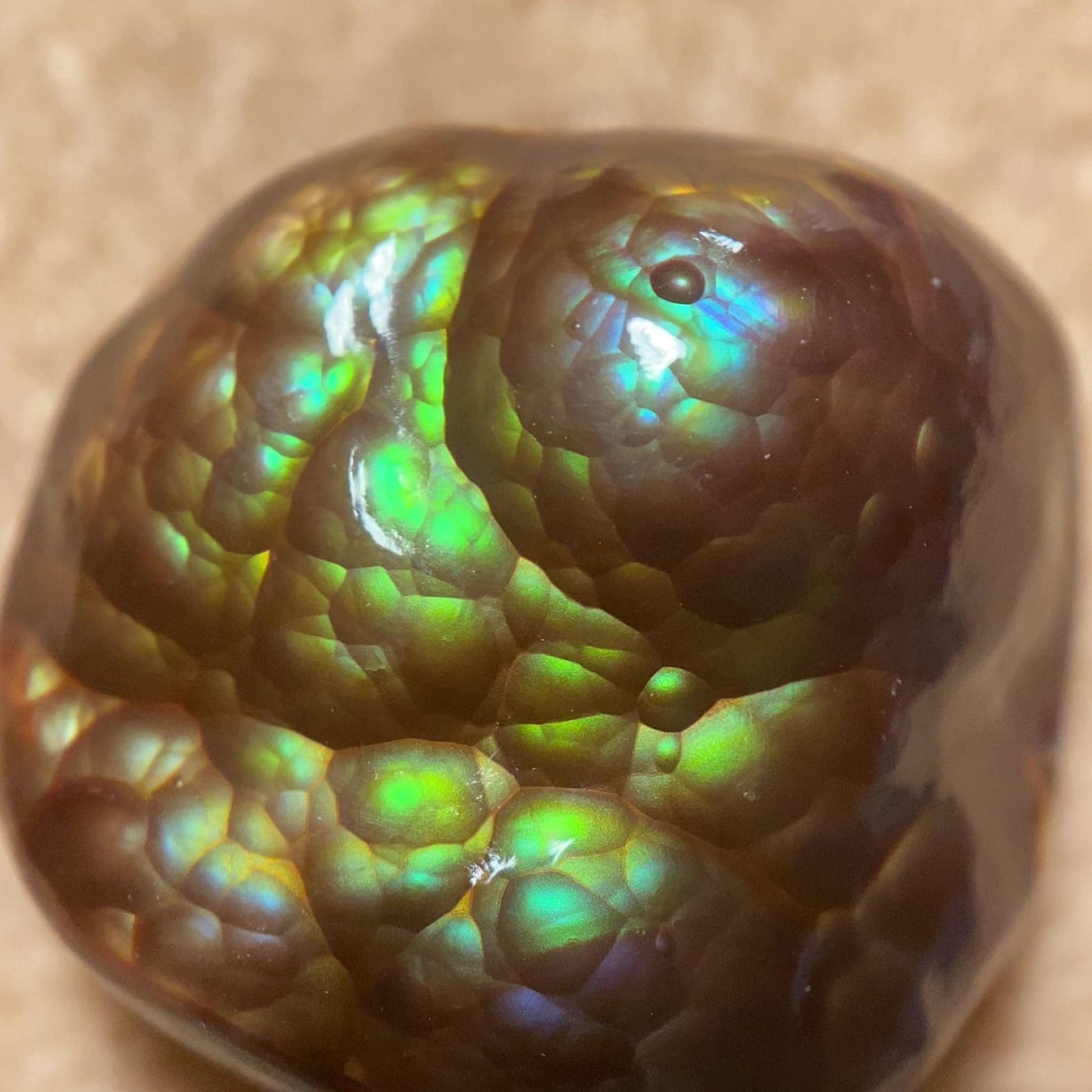 Close-up of a colorful Deer Creek fire agate gemstone with an iridescent display