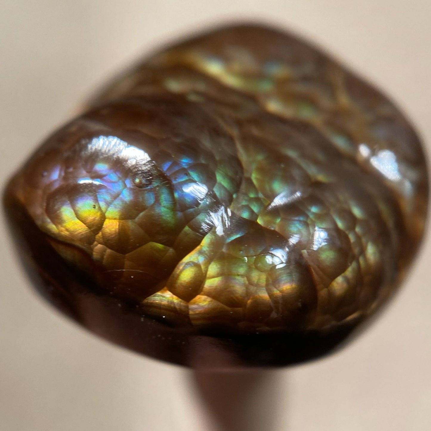 Close-up of a polished  colorful Deer Creek fire agate gemstone with iridescent surface