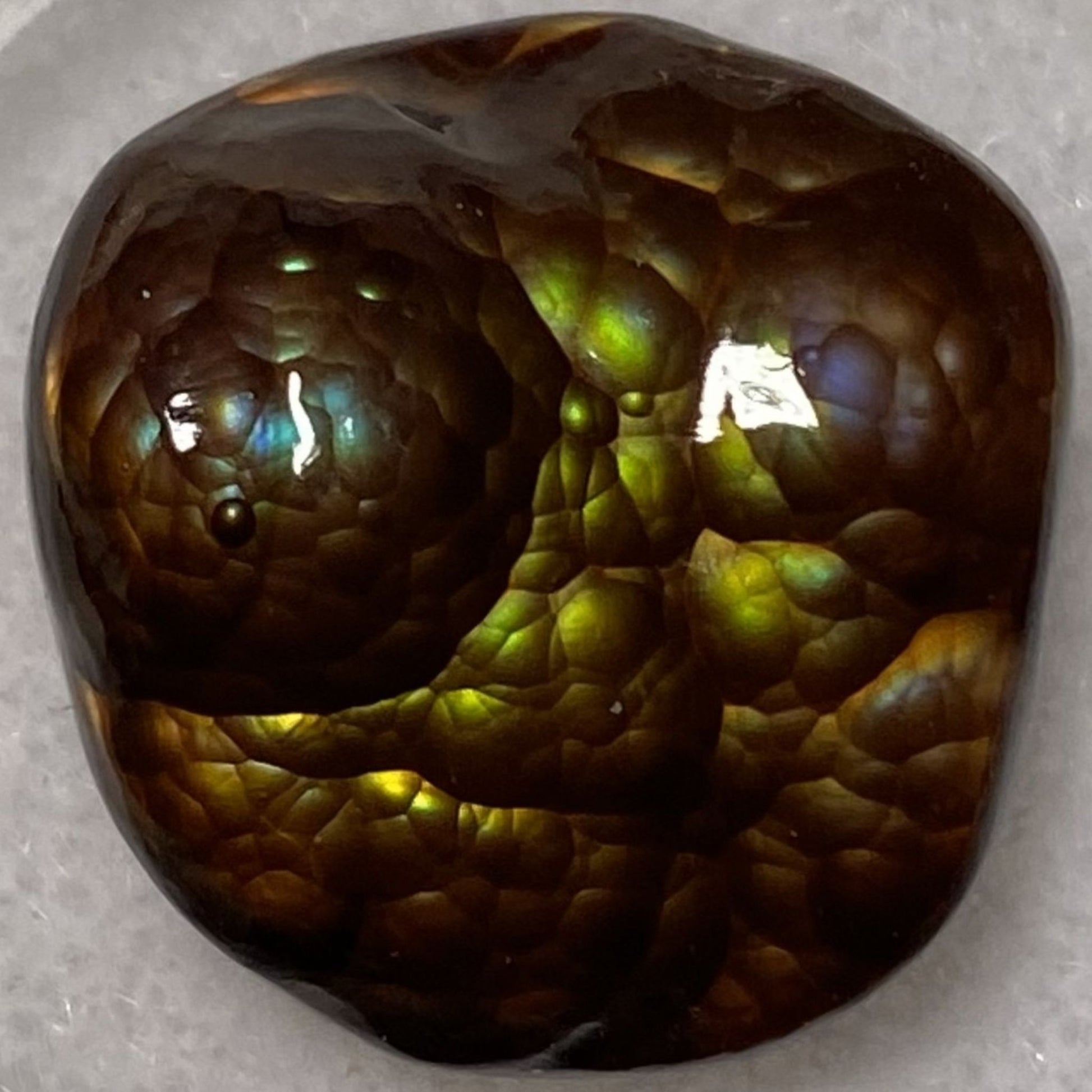 Polished gemstone with multicolored luster on a gray background