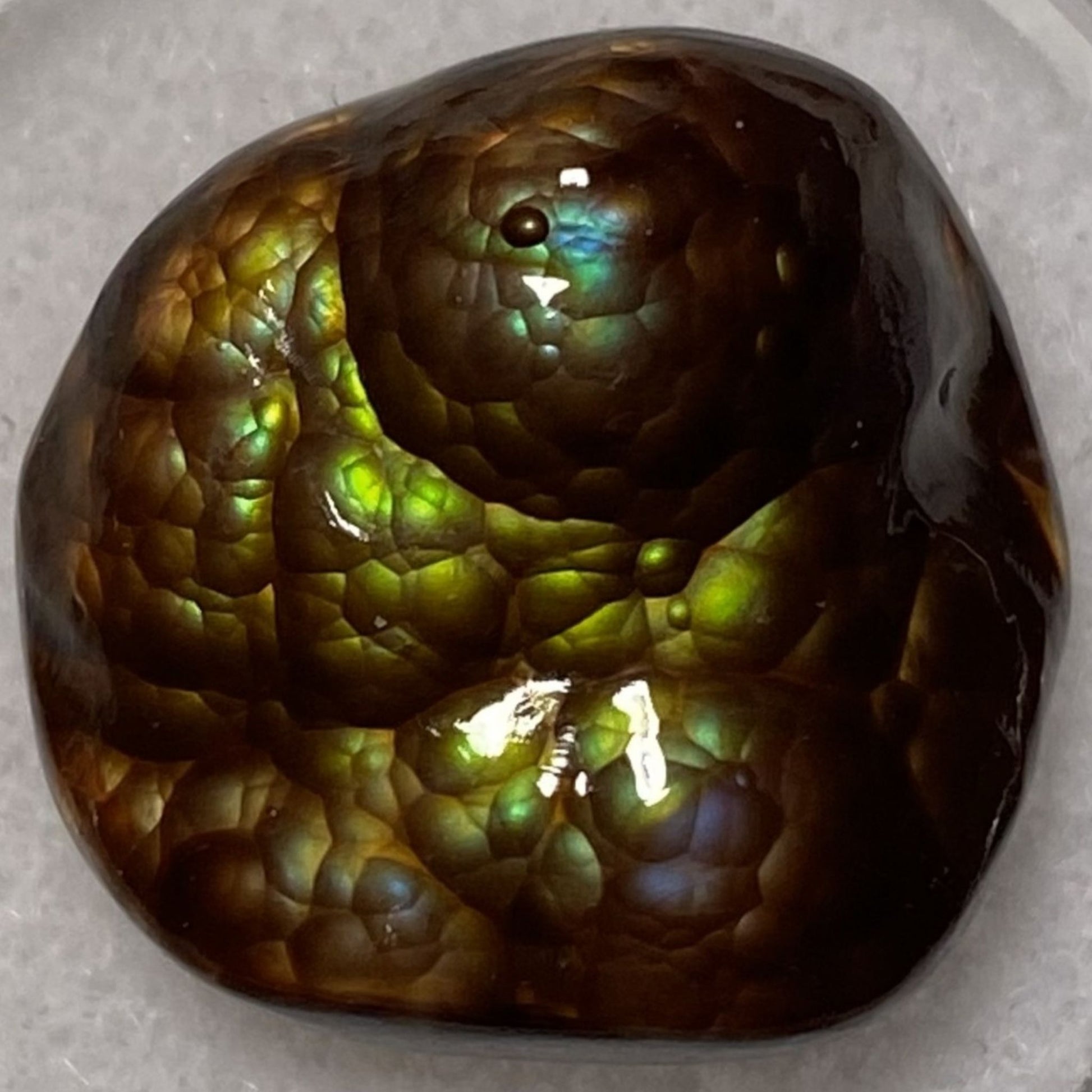 Polished fire agate gemstone with iridescent green and brown colors on a gray background