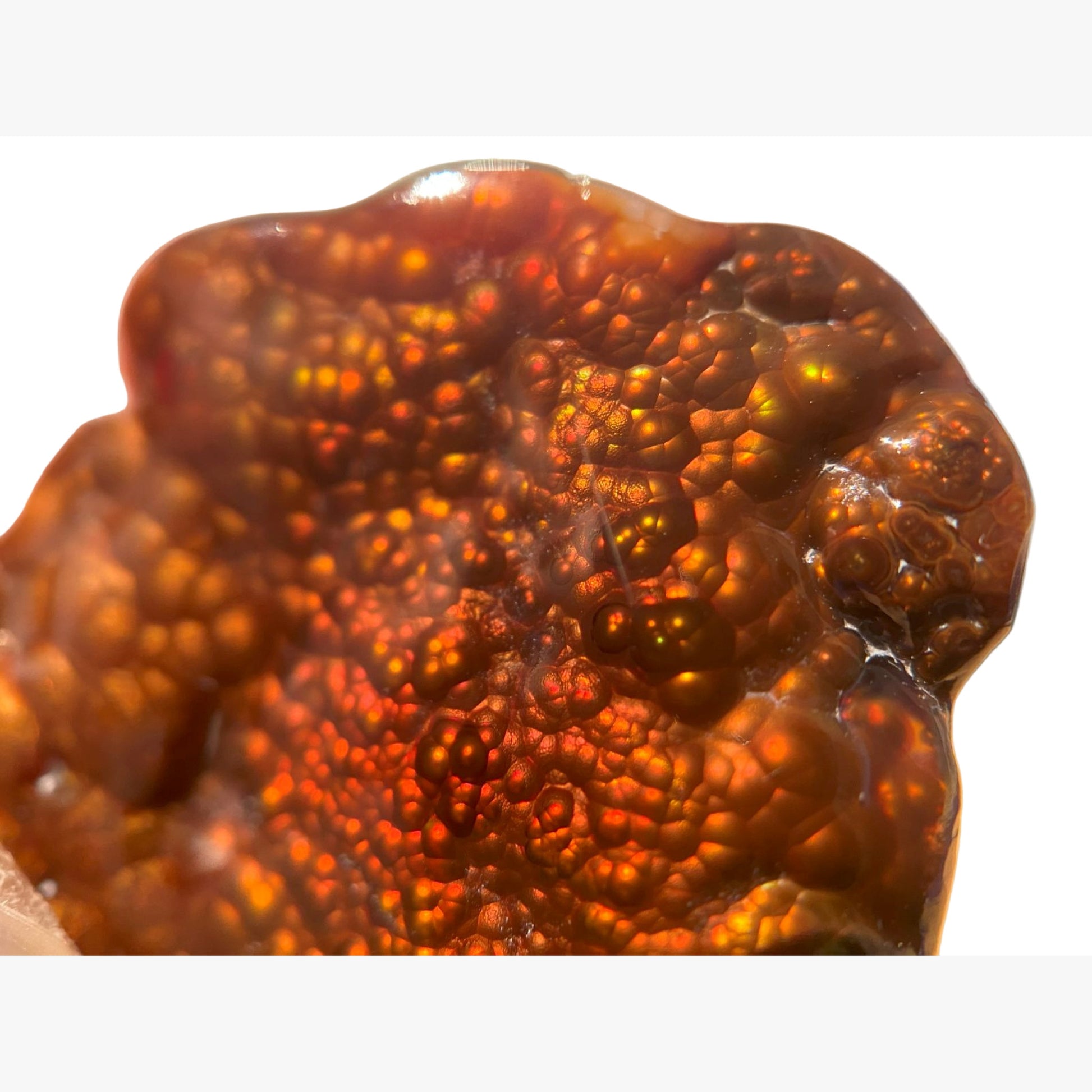 Close up of a fiery red and orange Deer Creek Arizona Fire Agate Gemstone on a white background
