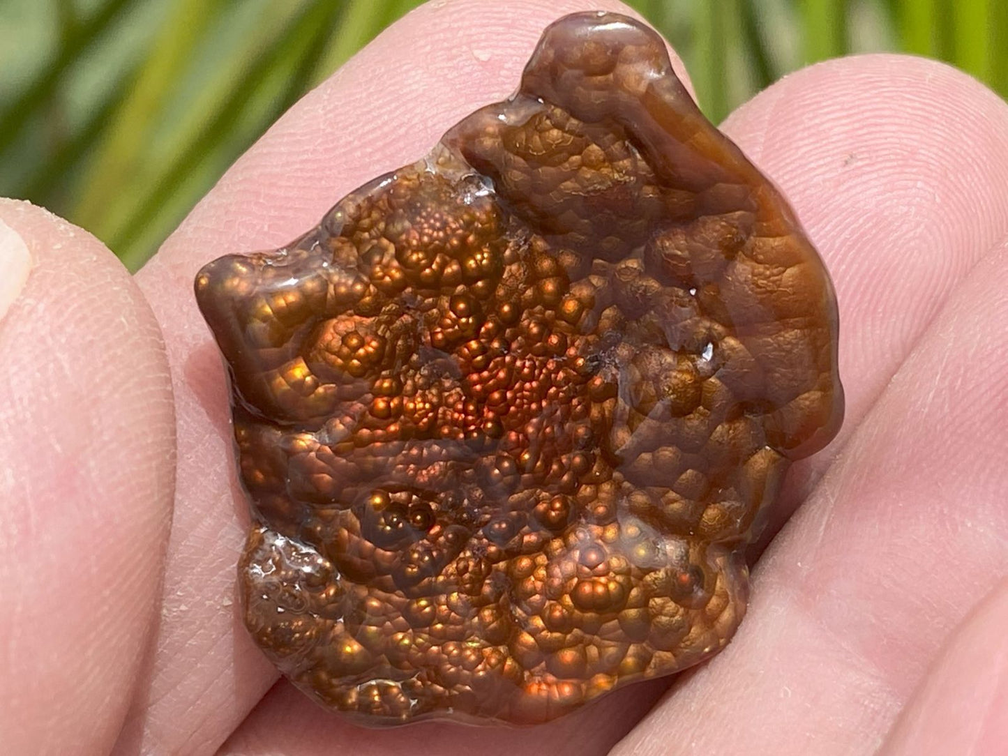 Close-up of a Fire Agate Gemstone held between fingers with a blurred green background