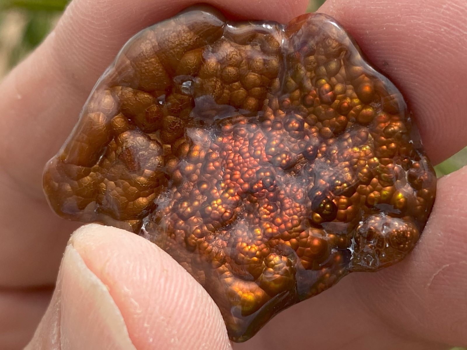 Close-up of aFire Agate Gemstone held between fingers