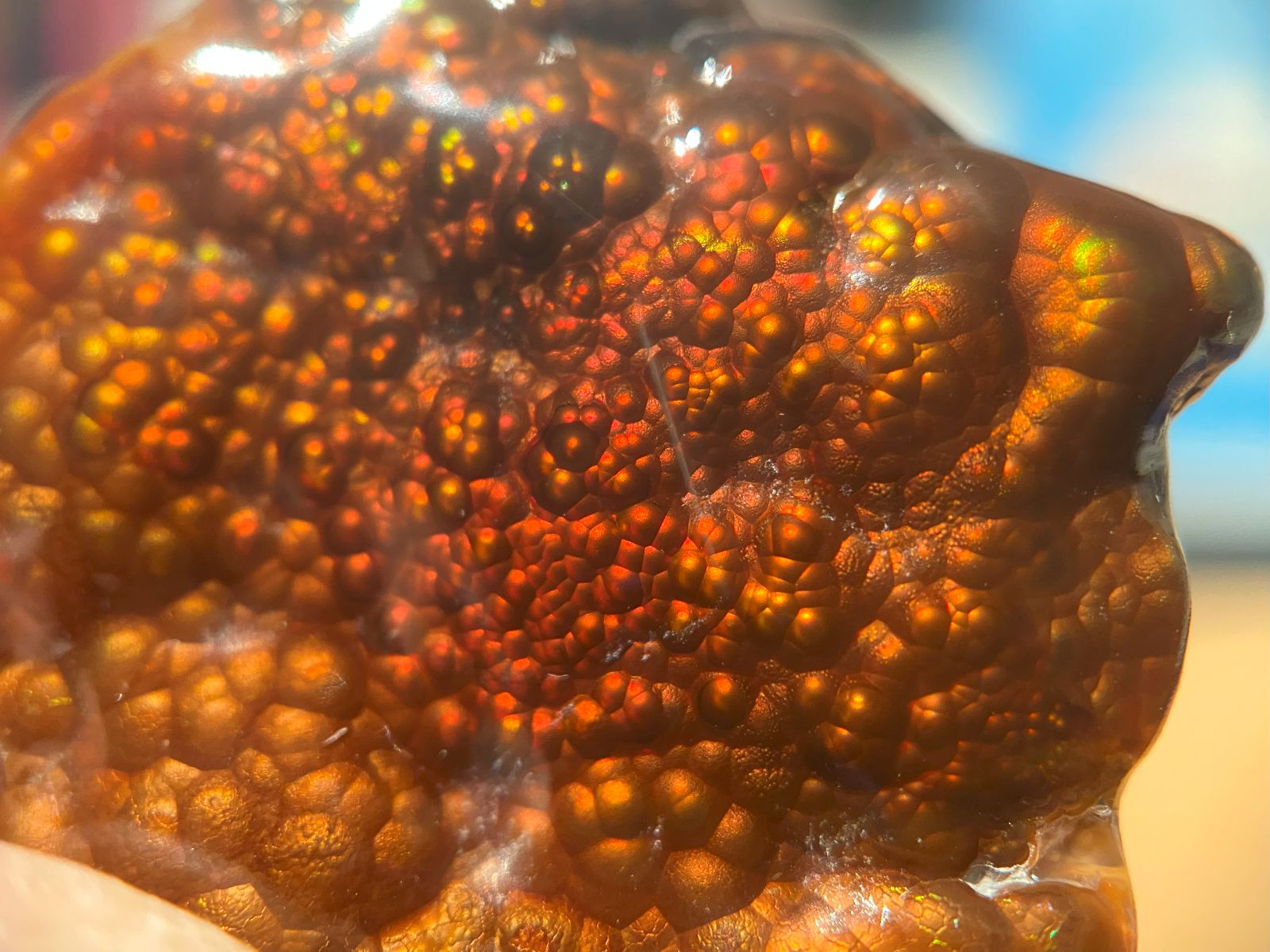 Close-up of a textured Fire Agate Gemstone with a blurred background