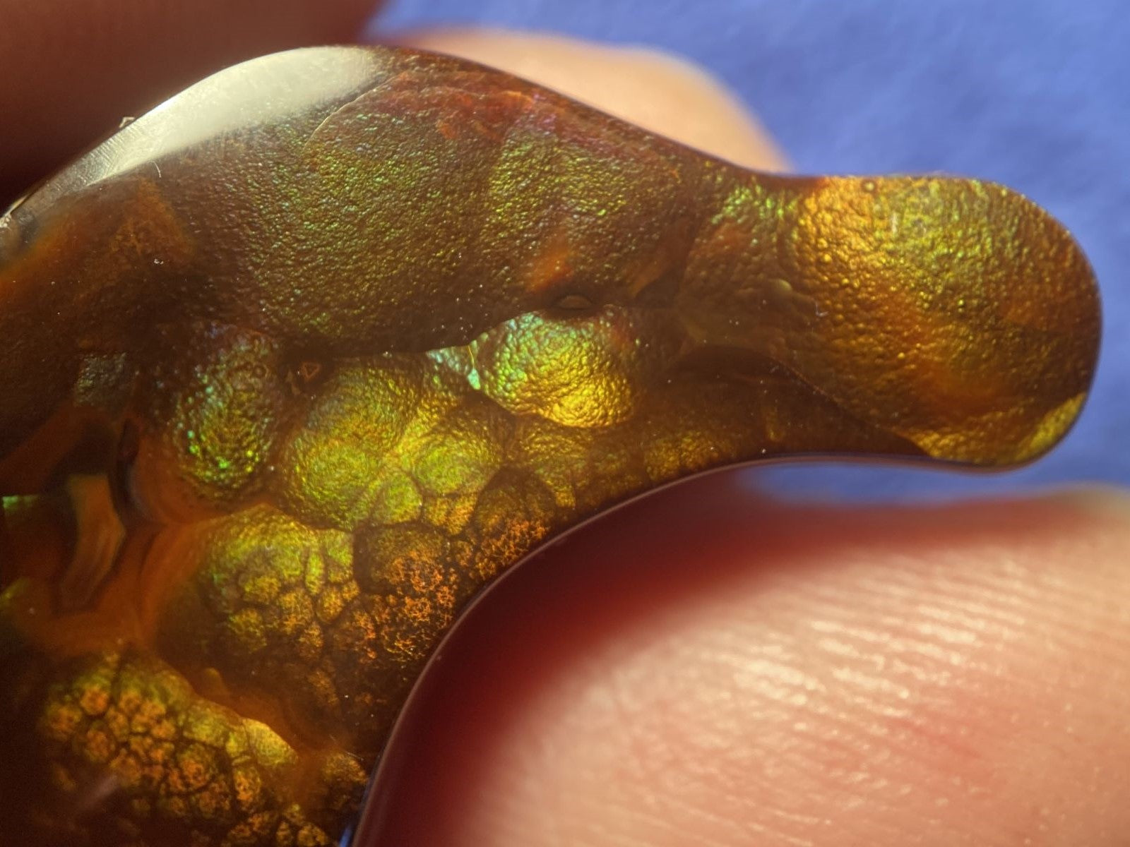 Close-up of a Deer Creek fire agate gemstone with a textured surface, held between fingers against a blue background.