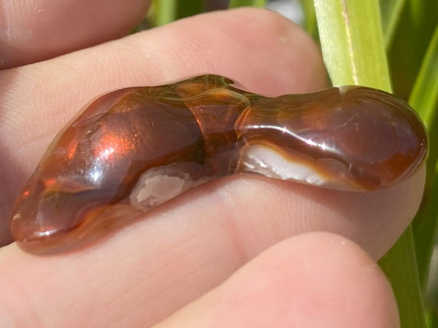 Side view of a translucent fire agate gemstone held in a hand with plants in the background