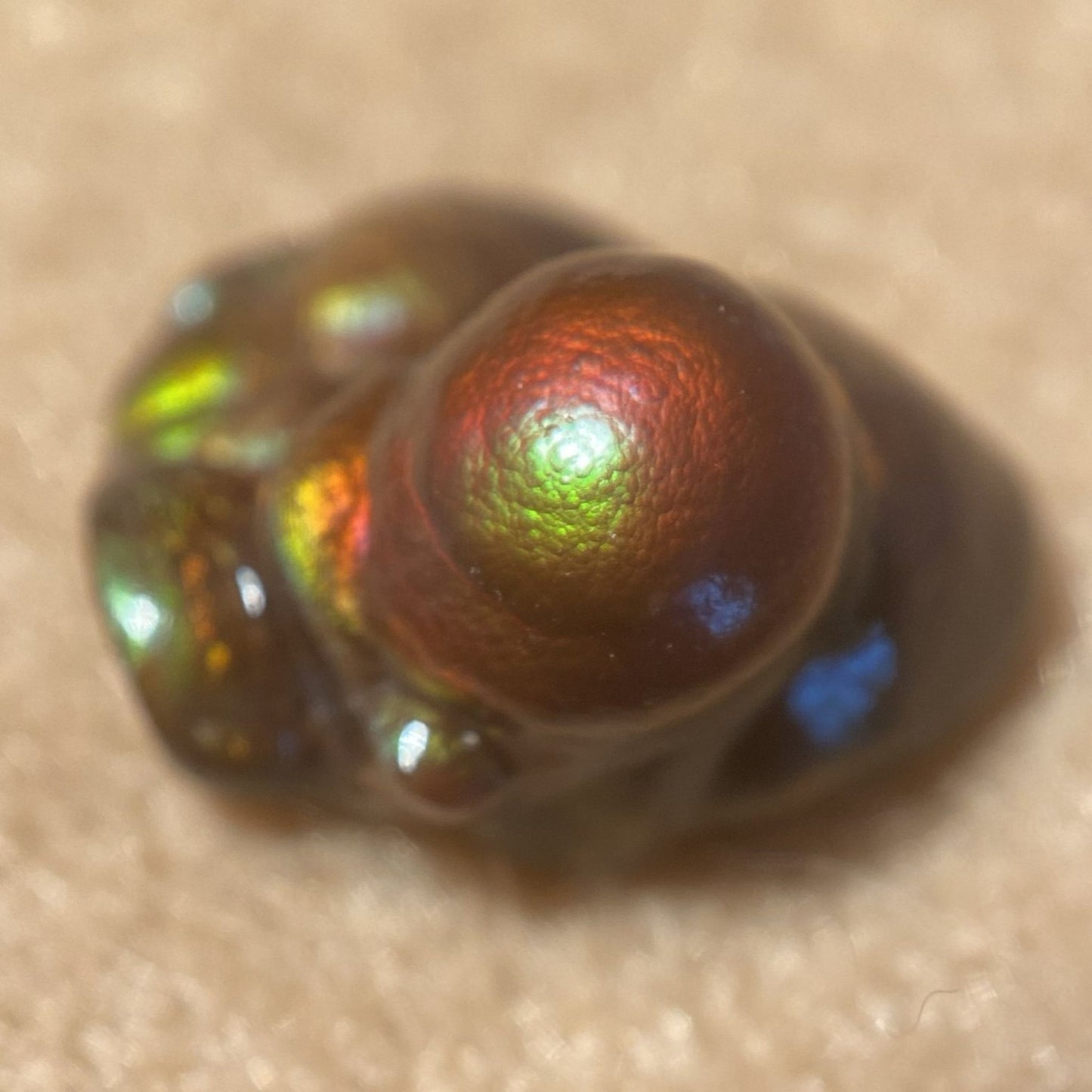 Metallic, multicolored Deer Creek Fire Agate Gemstone Mineral Specimen on a beige surface